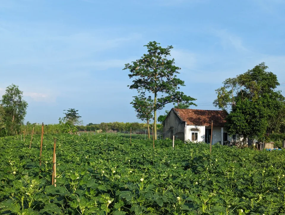 Cửa hàng nông sản tại Nguyễn Lụt